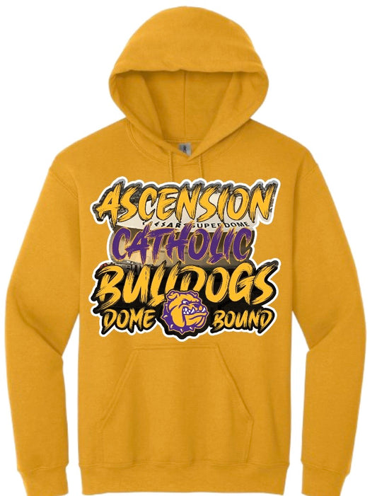 Ascension Catholic {Toddler-Youth-Adults Hoodies}