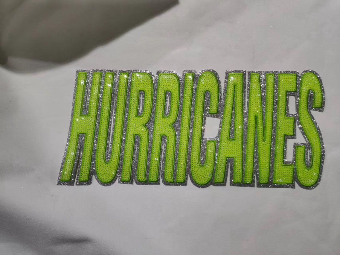 Hurricanes Sequin Patch