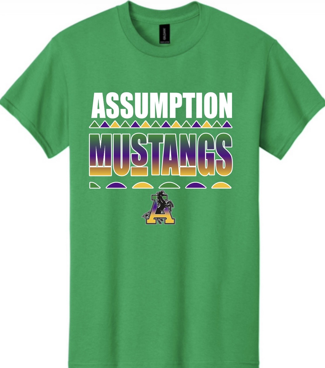 Assumption Picnic 2