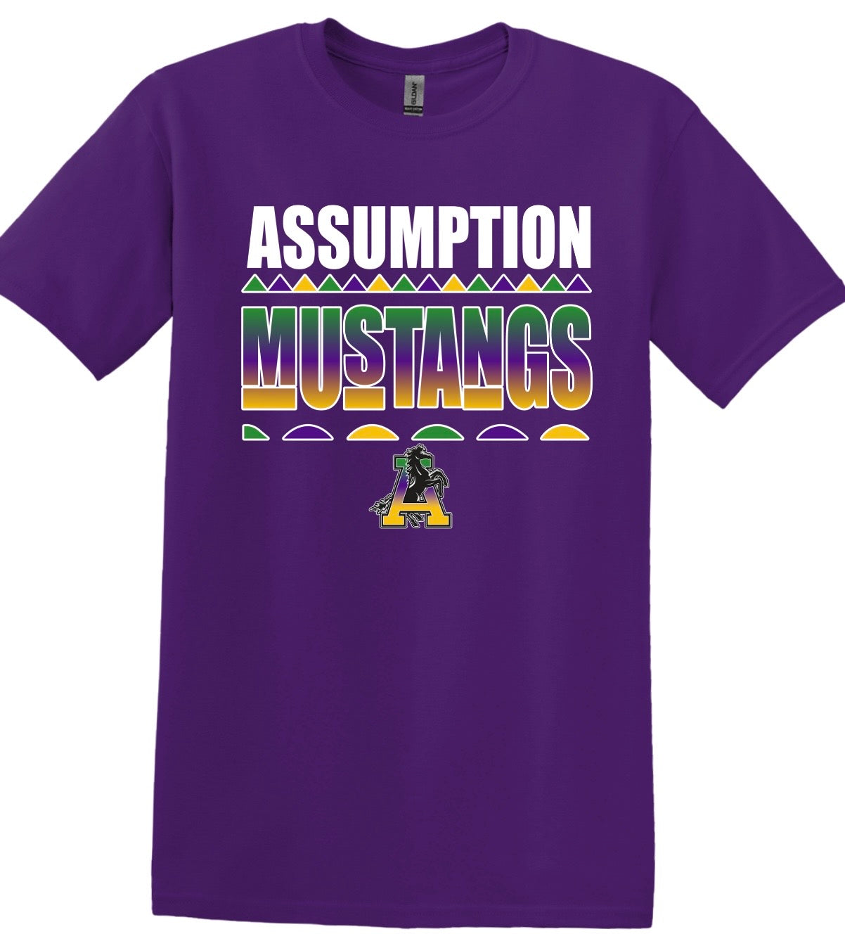 Assumption Picnic 2