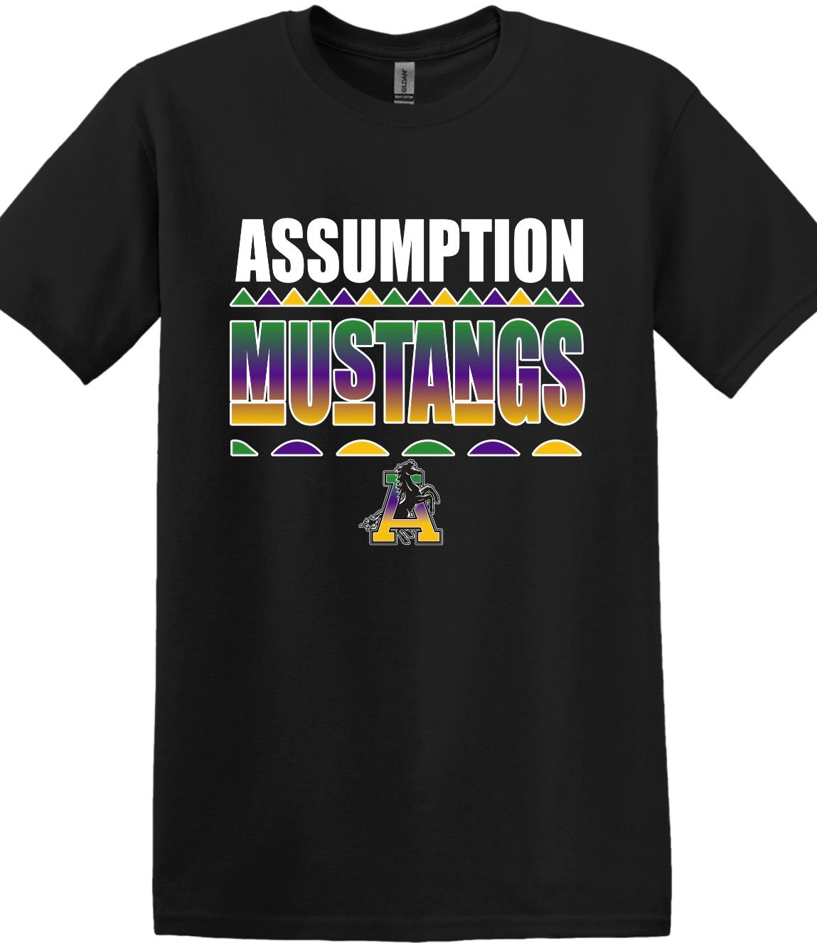 Assumption Picnic 2