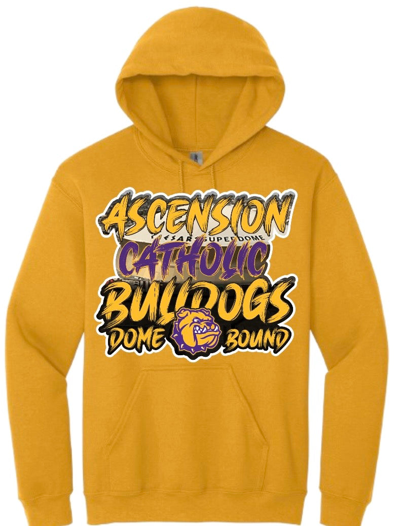 Ascension Catholic {Toddler-Youth-Adults Hoodies}
