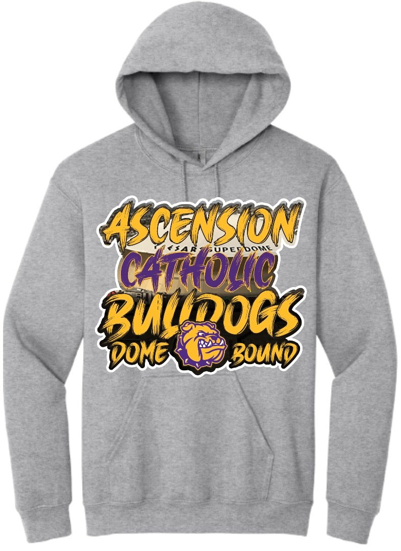 Ascension Catholic {Toddler-Youth-Adults Hoodies}