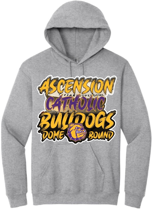 Ascension Catholic {Toddler-Youth-Adults Hoodies}