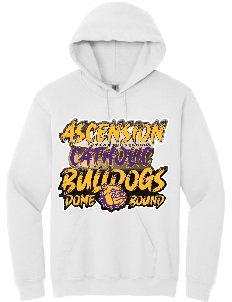 Ascension Catholic {Toddler-Youth-Adults Hoodies}
