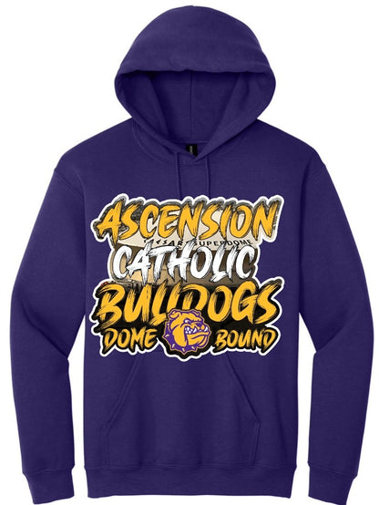 Ascension Catholic {Toddler-Youth-Adults Hoodies}
