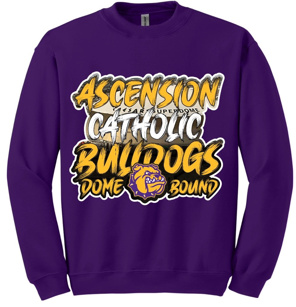 Ascension Catholic Youth-Adults Long Sleeve Shirts